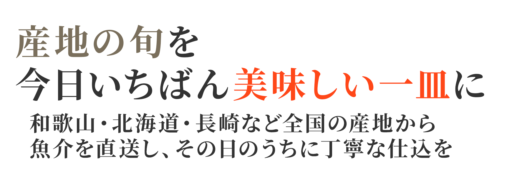 MVcatch